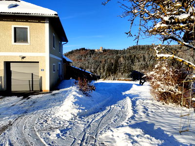 Bild 46 aus Biohof Viertl