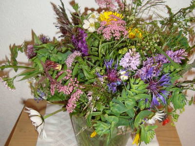 Bild 11 aus  Ferienbauernhof Beer