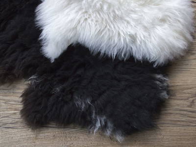 Bild 39 aus  Biohof Mathies