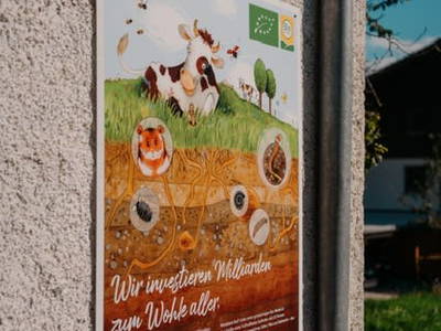 Bild 11 aus  Gasperhof