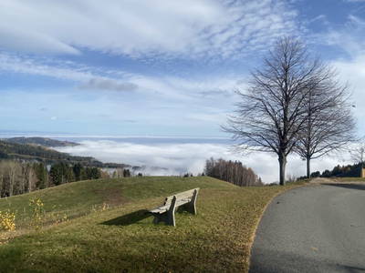 Bild 9 aus  Seewaldhof