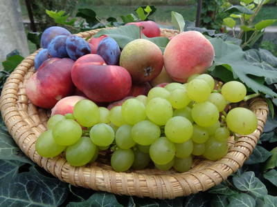 Bild 53 aus  Gästehaus Schlossblick