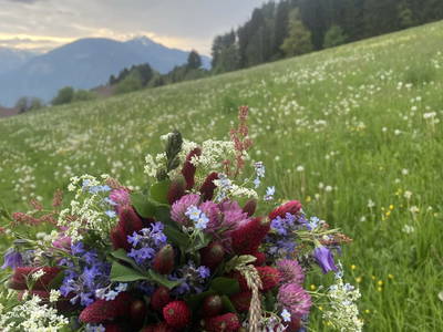 Bild 52 aus  Lukasbauer