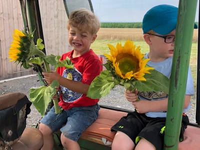 Bild 40 aus  Steigerwälder Zwergenhof ihr kleiner Kinder-Bauernhof für Familien- und Gruppenurlaube