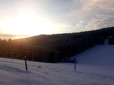 Bild 32 aus Biobauernhof Leitner Zizlbauer