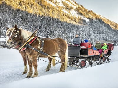 Bild 100 aus  Wechslerhof