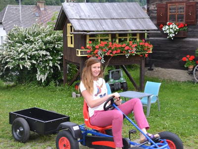 Bild 51 aus  Bio Naturhof Ottingerhof