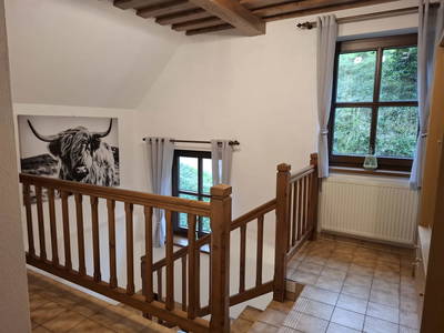 Bild 24 aus  Hanslgrabner