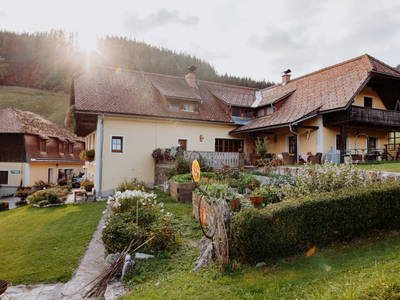 Bild 268 aus  Michlbauer