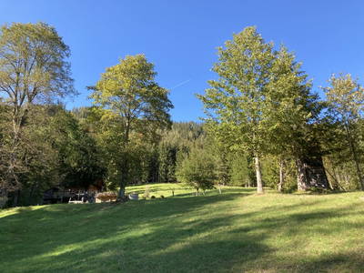 Bild 85 aus  Holzknechthütte