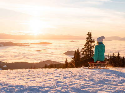 Bild 36 aus  Die Saualmleitn