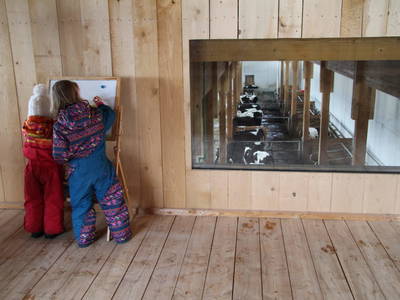 Bild 38 aus  Pieber-Staberhof