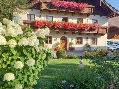 Bild 37 aus  Unterwöhrlehen