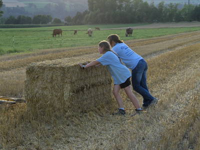 Bild 22 aus  Familien-Bauernhofurlaub im Herzen der Schweiz