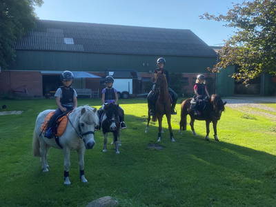 Bild 52 aus  Lindenhof