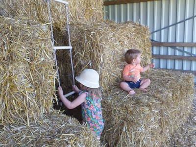 Bild 16 aus  Biolandhof-von Agris