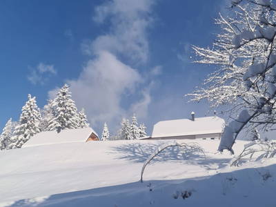 Bild 30 aus  Almchalets Reiter am Berg - Almchalet Smaragd