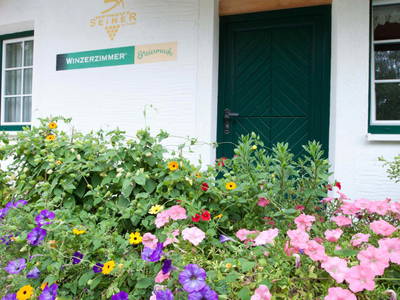 Bild 40 aus  Weingut Seiner vlg.Kraxner