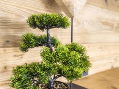 Bild 62 aus  Pochergütl