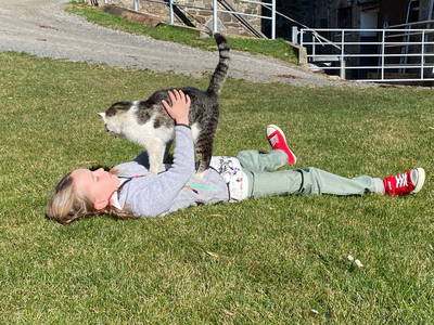 Bild 57 aus  Hoferhof