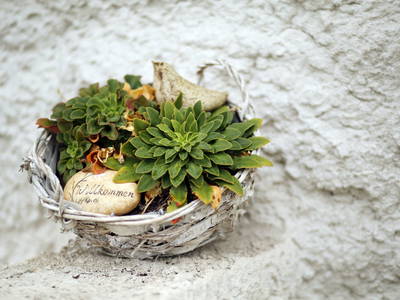 Bild 5 aus  Testhof UaB NÖ