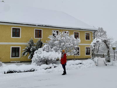 Bild 19 aus  Landhof Ebner