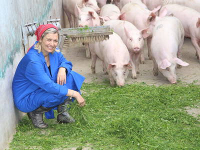 Bild 28 aus  Petritsch-Hof