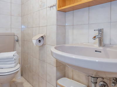 Bild 203 aus  Pleschinhof