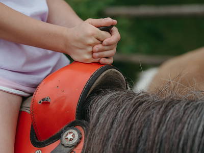 Bild 57 aus  LandSelection Bussjägerhof