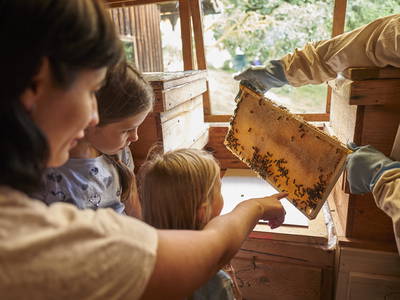 Bild 12 aus  Urlaub am Schoffahanslof im Bayerischen Wald: Natur, Abenteuer & Erholung für die ganze Familie“