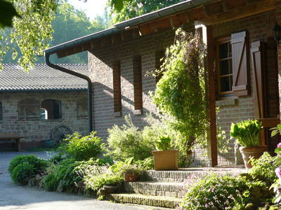 Bild 11 aus  Mühlberghof