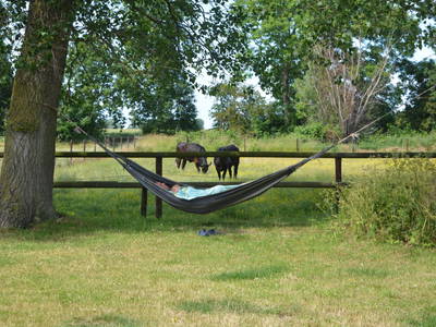 Bild 24 aus  Luftsnapper & Fellnasen