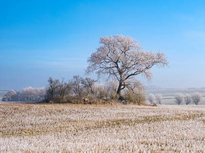 Bild 18 aus  Kunterbunthof – Landurlaub am Künstlerhof in Ostseenähe