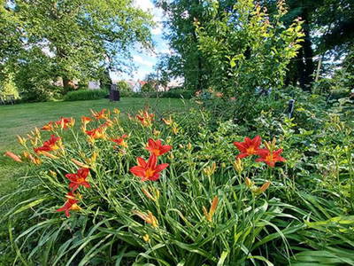 Bild 10 aus  Kunstgut Krahne