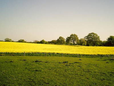 Blick über die Felder