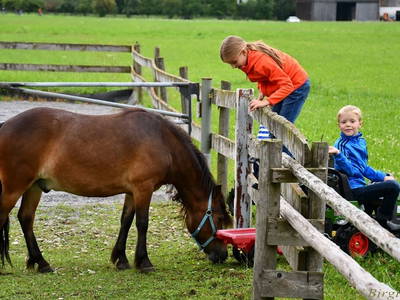 Bild 15 aus  Augustinerhof