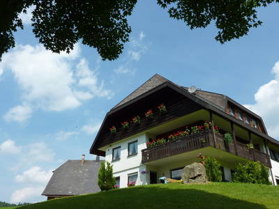 Bild 7 aus  Oberhöfenhof