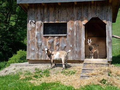 Bild 7 aus  Ferienwohnung Schütte
