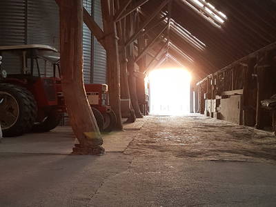 Bild 6 aus  Ferienhof  "Groot Plaats"