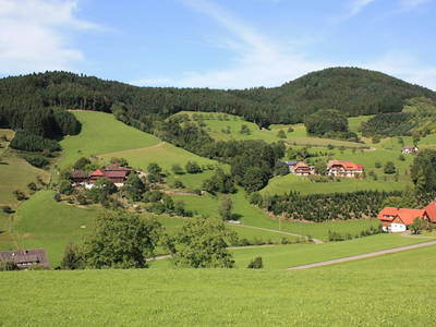 Bild 7 aus  Vorderer Klausmannshof