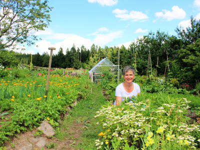 Bild 14 aus  Sigmundenhof