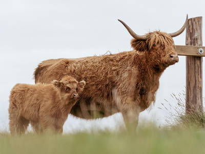 Bild 4 aus  Casa Hanna test super