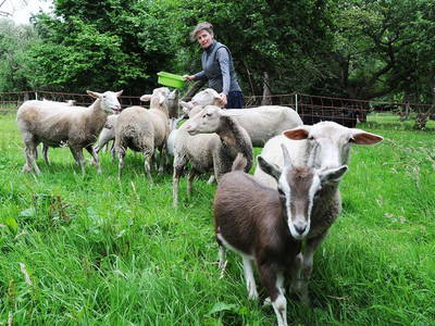 Bild 5 aus  Alte Schule Mechelsdorf - Idylle zw. Rerik und Kühlungsborn - 2,5 km zur Ostsee