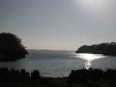 Bild 24 aus  Ferienhof Lucht