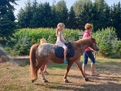 Bild 6 aus  Ferienhof Heidemann