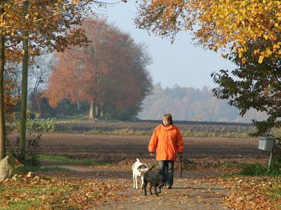 Bild 9 aus  "Ekenhoff"