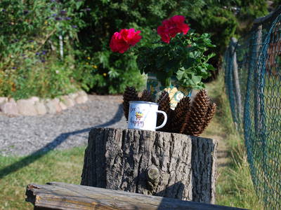 Bild 66 aus  Ahoi Ostsee:  Bauernhof und OstseeUrlaub - Ferienhof Becker in Dahme