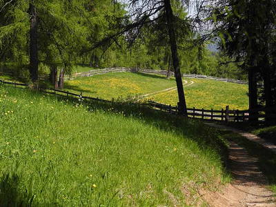 Bild 27 aus  Wietererhof