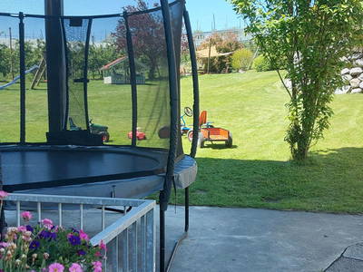 Bild 6 aus  Obst- und Ferienhof - Familie Weishaupt-Steffelin
