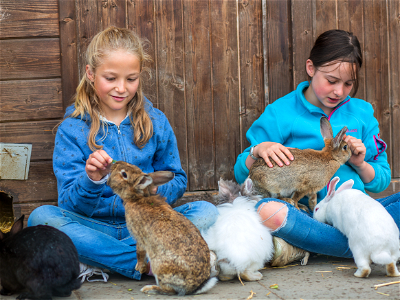 Bild 15 aus Büdl'farm - Der Familien-Erlebnishof